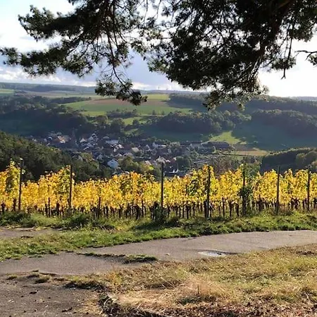 アパート Einliegerwohnung In Gissigheim *